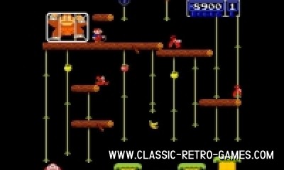 Donkey Kong Jr. remake screenshot
